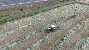 Bingöllü çiftçiler verimli hasadın ardından ikinci ürün mesaisine başladı