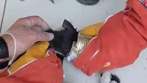 Batman'da tenekeye sıkışan kedinin yardımına itfaiye ekipleri yetişti