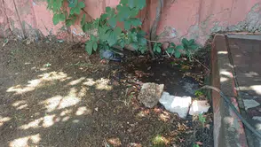 Bingöl merkezde kavurucu sıcaklar güvercini su dolu birikintiye yöneltti