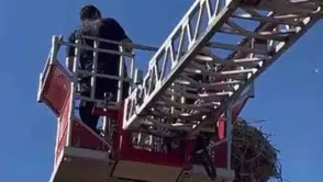 Elazığda yuvadan düşen yavru leyleği itfaiye ekipleri kurtardı