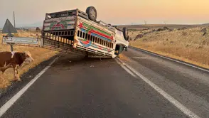 Siverek yolunda devrilen kamyonet trafiği kilitledi