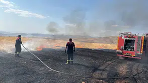 Siirt çevre yolunda çıkan anız yangını ekiplerin hızlı müdahalesiyle söndürüldü
