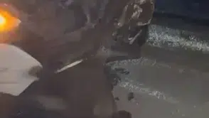 Elazığ Karakoçan yolunda cip domuzla çarpıştı