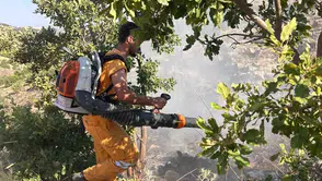 Hazro ilçesindeki orman yangını 15 dönümlük alanı küle çevirdi