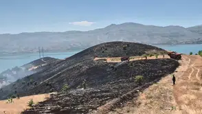Sivrice ilçesindeki kırsal alanda başlayan yangın ekiplerce söndürüldü