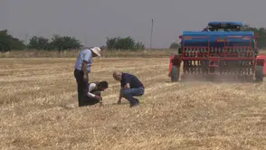 Şanlıurfa çiftçisi anız yakmadan tarladan daha fazla verim alıyor