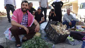 Gercüşlüler bahçelerinde kendiliğinden yetişen şifa kaynağı semizotunu sofralarına taşıyor