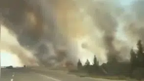 Nusaybin sınırındaki mayınlı alanda anız yangını trafiği aksattı