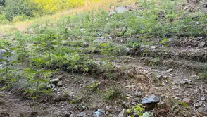 Bingöl jandarmasından bir haftalık geniş çaplı suç operasyonu