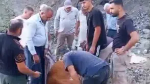 Siirt Baykan köyünde dağlık alanda mahsur kalan hayvan kurtarılamadı