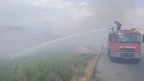 Siirt Üniversitesinin yanındaki arazide çıkan yangın yüz dönümü küle çevirdi