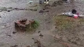Fındık için Samsun'a giden Şanlıurfalı işçilerin çadırlarını sel bastı