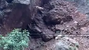 Munzur Vadisinde sarp kayalıkları aşan dağ keçileri görüntülendi