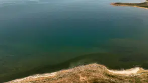 Bitlis'te Van Gölü kıyısında dikkat çeken renk değişimi