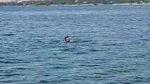 Karakaya Baraj Gölü'nü yüzerek geçti