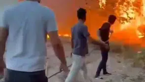 Birecik ilçesindeki ağaçlık alanda çıkan yangın mahalle sakinlerini tedirgin etti