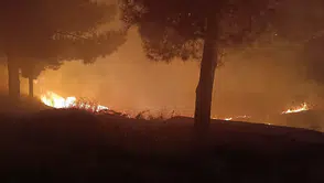 Siirt Kurtalan’daki mezarlıkta gece saatlerinde yangın paniği yaşandı