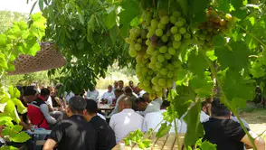 Gercüş'te mezrone üzümü üreticileri kooperatif için bir araya geldi