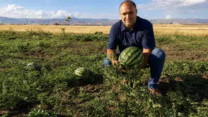 Ağrı tarlalarında hasat heyecanı başladı