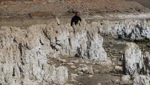 Van Gölü'ndeki dev mikrobiyalitlerin sırrı uluslararası ekiple araştırılacak