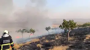 Batman'da tarım arazisinde çıkan yangın ekipleri harekete geçirdi