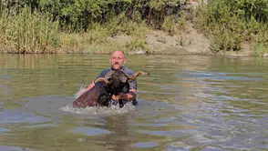 Muşlu besici koyunlarını kışa hazırlamak için Karasu Nehri'nde yıkıyor
