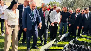 Şırnaklı üreticilere kışlık fide ve çoban çantası desteği verildi