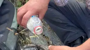 Elazığ'da yangından kaçan kaplumbağaya vatandaşlar sahip çıktı
