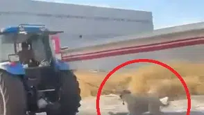 Diyarbakır'da traktöre bağlanan köpeğin zor anları kameraya yansıdı