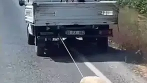 Şanlıurfa'da kamyonet arkasında köpeğe yapılan eziyet kameraya yansıdı