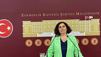Sevilay Çelenk, Narin Güran davasını Meclis gündemine taşıdı