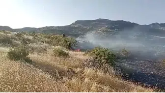 Dicle kırsalında kontrol altına alınmaya çalışılan alevler paniğe neden oldu?