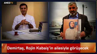 Demirtaş, Rojin Kabaiş'in ailesiyle görüşecek: Gündemde dosyadaki son gelişmeler var