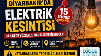 Binlerce aboneyi ilgilendiriyor! Diyarbakır'da 15 Temmuz elektrik kesintisi programı belli oldu