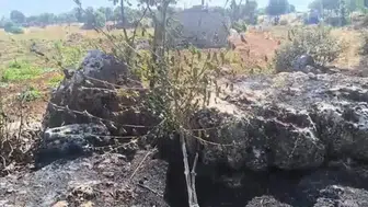 Diyarbakır Dicle kırsalında çıkan yangın meyve bahçelerine büyük zarar verdi