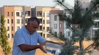 Diyarbakır Oğlaklı Mahallesi sakinleri çevre temizliği ve altyapı hizmeti bekliyor