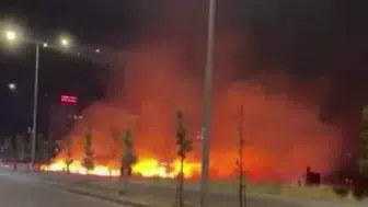 Kayapınar ilçesindeki otluk alanda çıkan yangın korku dolu anlar yaşattı