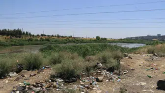 Dicle Nehri kıyısındaki plastik atıklar doğaya ve canlılara zarar veriyor