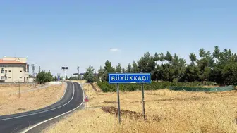 Diyarbakırda sokak kedisinin ısırdığı dört yaşındaki çocuk kuduz şüphesiyle yoğun bakımda