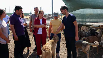 Eşbaşkan Bucak, Doğal Yaşam Alanı’ndaki canlıları inceledi