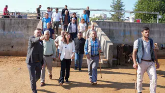 Diyarbakır Hayvan Borsası hafta sonları kapanıyor: Yeni tesis için tarih verildi