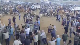 Diyarbakır’da hayvan borsasında sopalı kavga: Çok sayıda yaralı