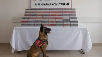 Mardin genelinde düzenlenen operasyonlarda 8 milyon liralık kaçak ürün yakalandı