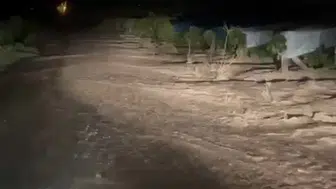 Elazığ'da sağanak yağış üzüm bağlarını sular altında bıraktı