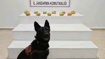 Başkale kırsalında jandarma ekipleri yüklü miktarda uyuşturucu madde yakaladı
