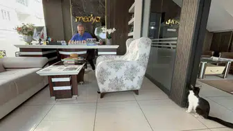 Batman'da bir matbaa kapılarını sokak kedilerine açarak yuva oldu