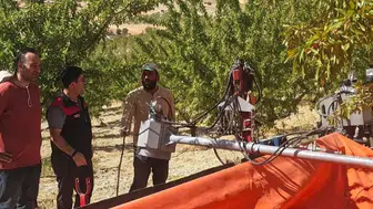 Ağın ilçesindeki badem bahçelerinde hasat öncesi denetim yapıldı