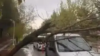 Elazığ'da şiddetli fırtına park halindeki araca zarar verdi
