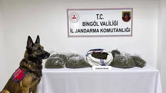 Bingöl Jandarması bir haftalık operasyonlarda suçlulara göz açtırmadı