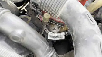 Elazığ'da aracın motoruna sıkışan yavru kedi kurtarıldı